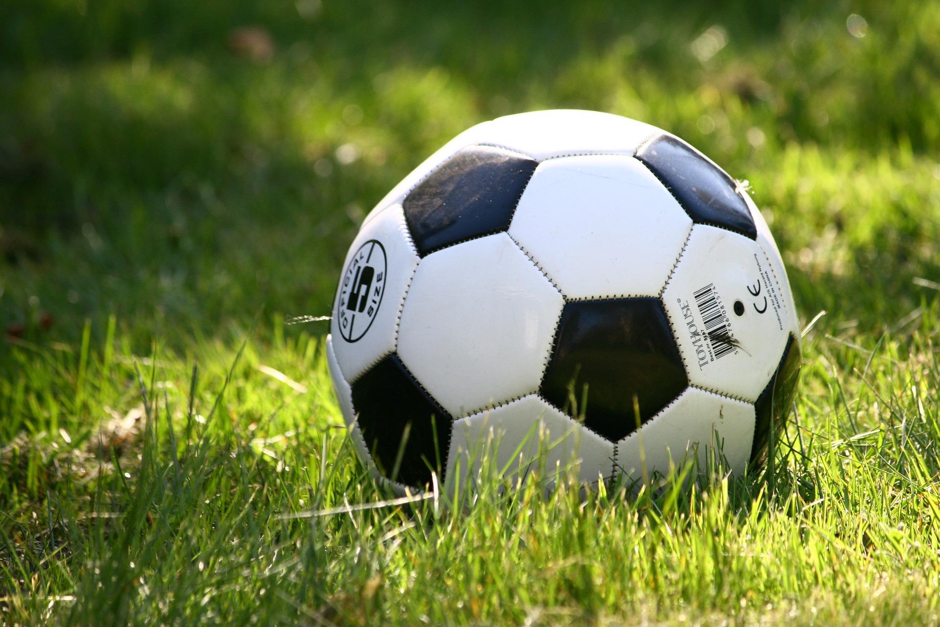 En fotboll på gräsmatta